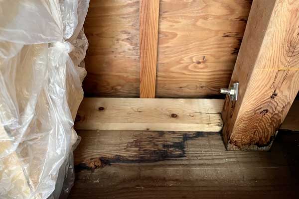 雨漏りの初期症状：部屋がかび臭い