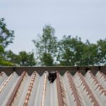 トタン屋根の修理費用はいくら？劣化状況別に分かりやすく解説