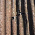 トタン屋根のサビ・穴あきが危険な理由。症状別の修理方法を詳しく解説